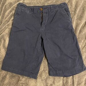 American Eagle Outfitters Dark Blue Flat Front Shorts